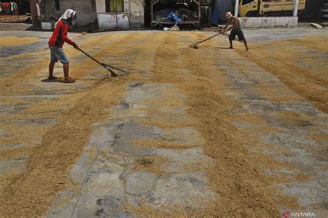 Mitigasi Dan Adaptasi Perubahan Iklim Untuk Mendukung Ketahanan Pangan