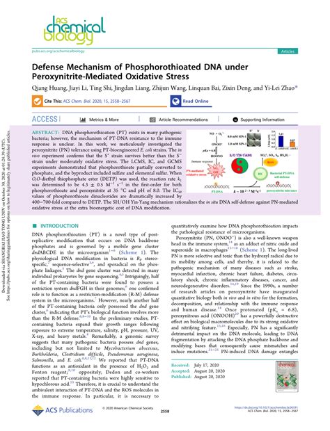 (PDF) Defense Mechanism of Phosphorothioated DNA under Peroxynitrite ...