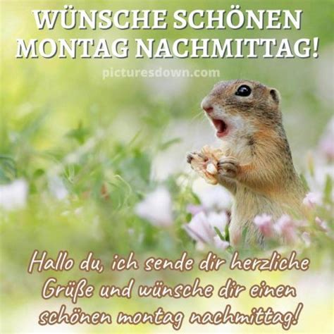 Schönen montag nachmittag bilder kostenlos picturesdown