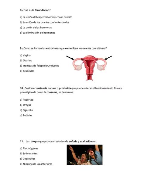 Evaluación Ciencias Naturales Sistema Reproductor Y Drogas Profe Social