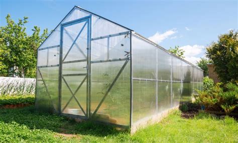 Twin Wall Polycarbonate Greenhouse Panels - Wall Design Ideas