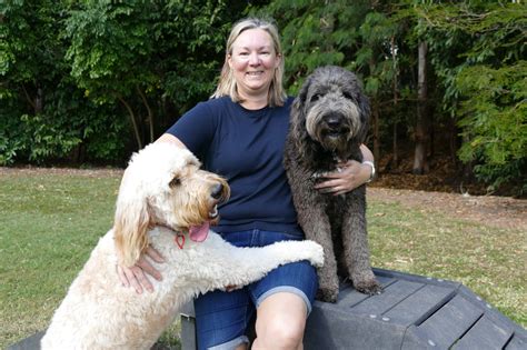 New Agility Equipment For Stirlings Lasting Legacy Mackay Whitsunday