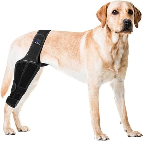 Foxlvda Dog Knee Brace For Torn Acl Hind Legs Luxating Patella Knee