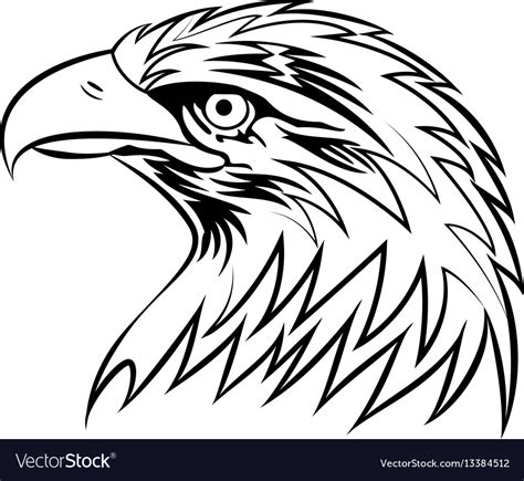 Bald eagle or hawk head mascot graphic eps Vector Image