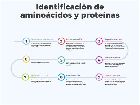 Identificación De Aminoácidos Y Proteínas Esquemas Y Mapas