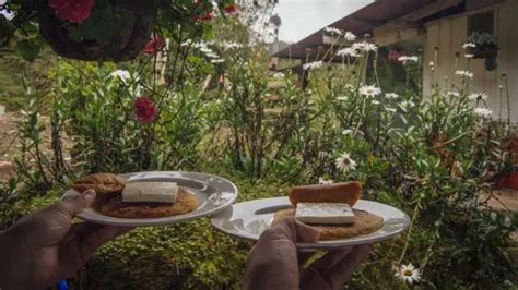 O que fazer em Jardín na Colômbia Guia de viagem completo