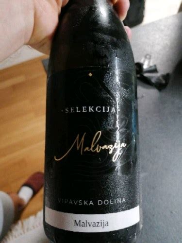 Selekcija Malvazija Vivino Us