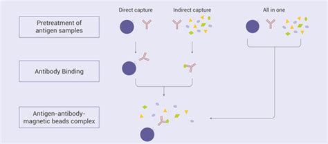 Immunoprecipitation Qanda Medchemexpress