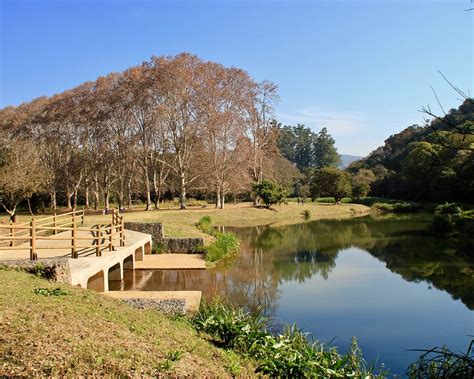 THE 15 BEST Things to Do in Pietermaritzburg (2025)