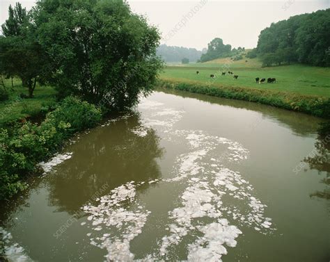 Polluted river - Stock Image - E820/0050 - Science Photo Library