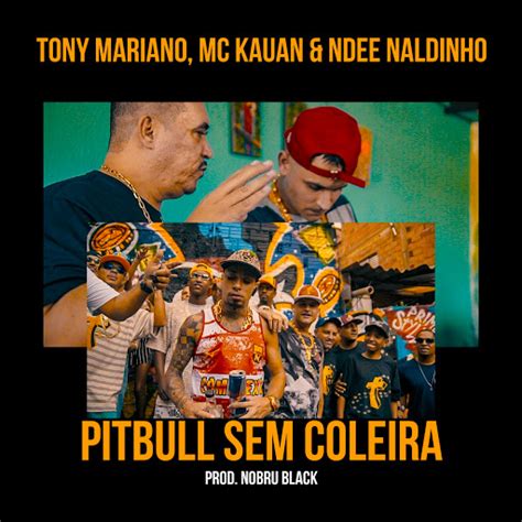 Pitbull Sem Coleira YouTube Music