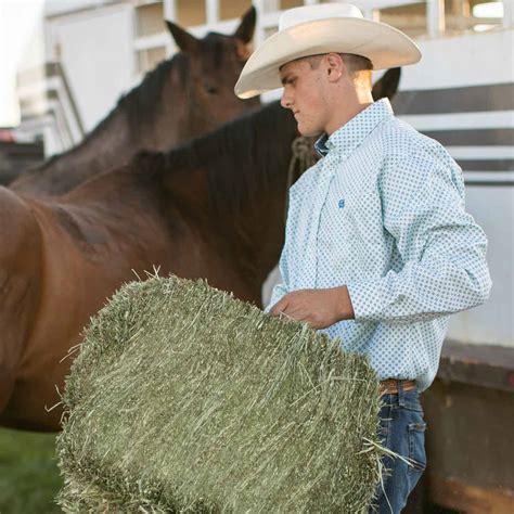 Premium Timothy Compressed Bale Standlee Premium Forage