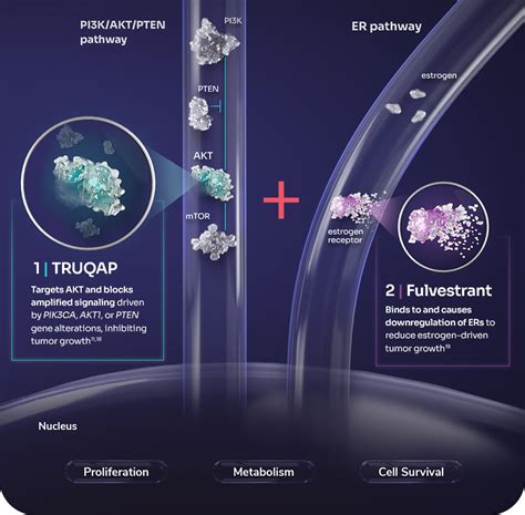 Mechanism Of Action Moa Truqap Capivasertib Tablets For Hcps