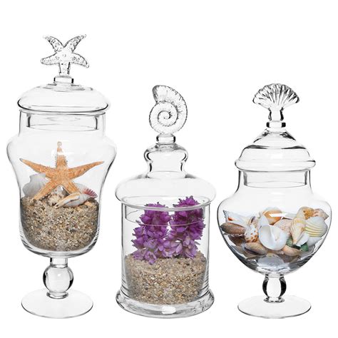 Buy Myt Clear Glass Apothecary Jars With Lid Decorative Seashell