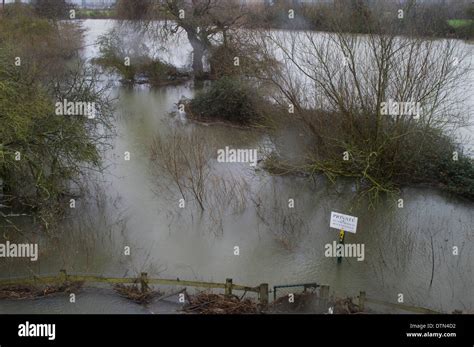 Datchet Floods. River Thames flooding banks and field on private land ...