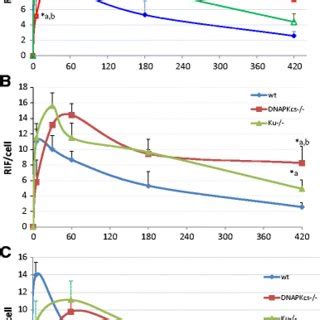 Dna Repair Kinetics After Ir In Sertoli Cells Of Wild Type And Prdkc