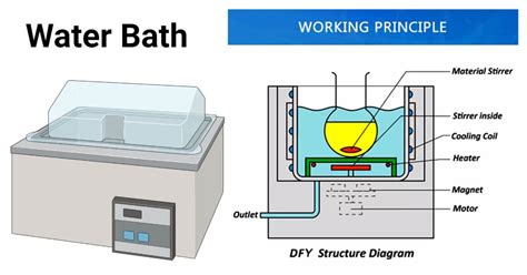 Water Bath: Definition, Principle, Types, Procedure