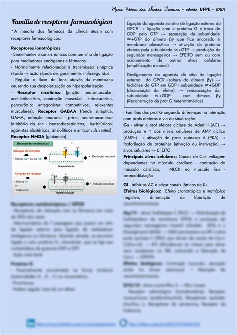 SOLUTION Farmacodin Mica Ii Fam Lia De Receptores Farmacol Gicos