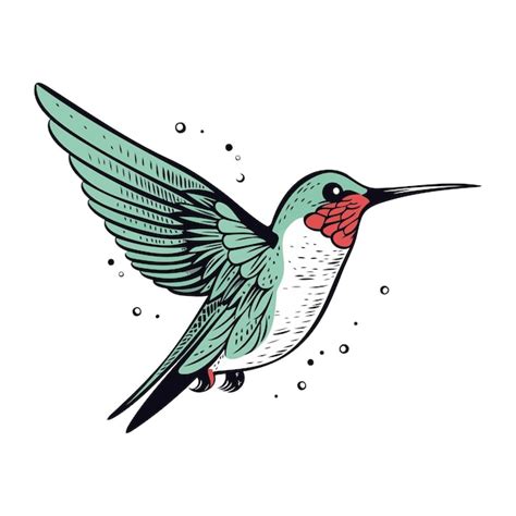 Premium Vector Hummingbird With Wings Spread Hand Drawn Vector