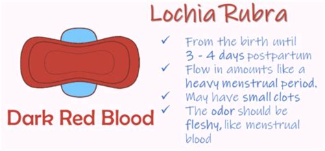 OB GYN EOR Flashcards Quizlet