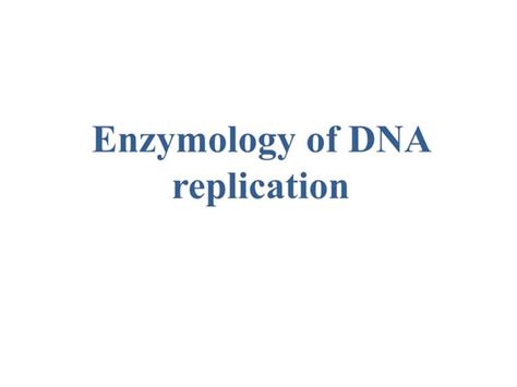 Enzyme In Dna Replication Ppt