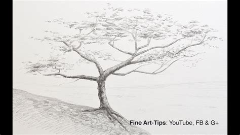 Palm Tree Pencil Drawing at PaintingValley.com | Explore collection of ...