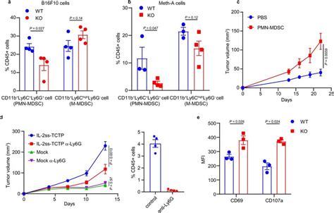 Tctp Modulates Mdsc Number And In Vivo Tumor Growth A Wt Or Tctp Ko