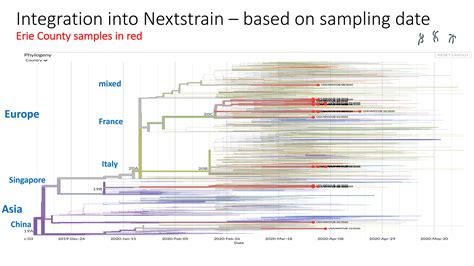 Predicting The Path Of Covid 19 From Wuhan To Buffalo University At