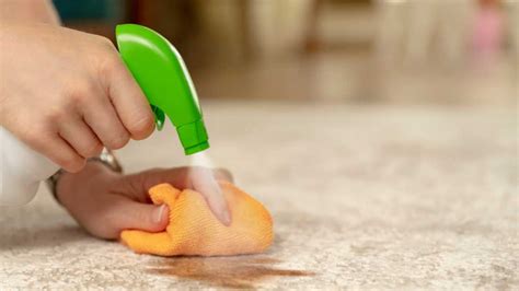 How to Remove Stubborn Set-In Stains: A Comprehensive Guide