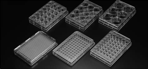 CELL CULTURE PLATE - Moxcare