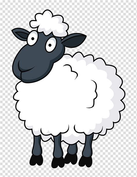 Free Download White And Black Sheep Illustration Sheep Cartoon