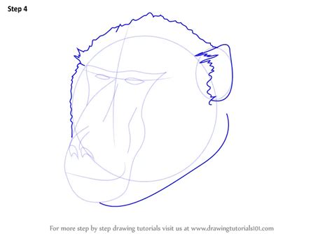 Learn How to Draw a Baboon Face (Wild Animals) Step by Step : Drawing Tutorials