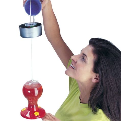 Ant-Proof Your Hummingbird Feeder — The Family Handyman