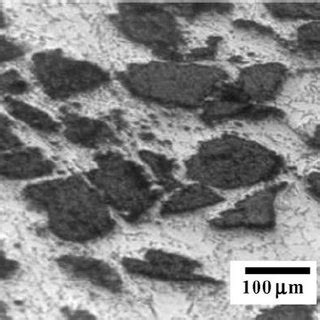 A Fracture Surface Of Al Matrix Alloy Scanning Electron Micrograph