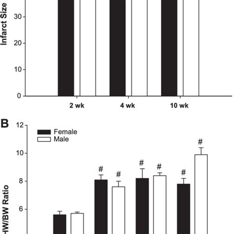 Quantification Of Infarct Size And Hypertrophic Response In Female And