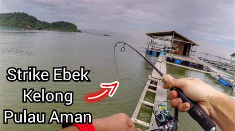 Strike Ebek Kelong Pulau Aman Youtube