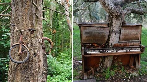 Photos Qui Montrent Que La Nature Reprend Toujours Ses Droits Sur La