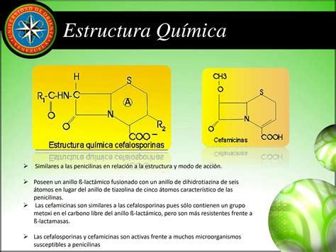 SOLUTION Farmacolog A I Unidad Iii Clase 4 Cefalosporinas Studypool