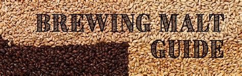 Complete Guide to Our Brewing Malts | The Beverage People