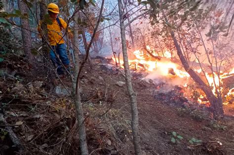 Se Han Registrado Incendios Forestales En Chihuahua