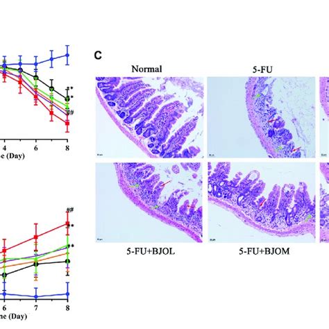 BJO Improved 5 FU Induced Intestinal Mucositis A Percentage Of