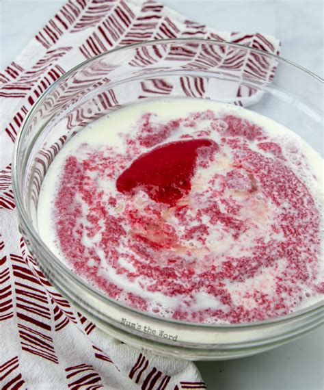 Homemade Raspberry Ice Cream Recipe Nums The Word