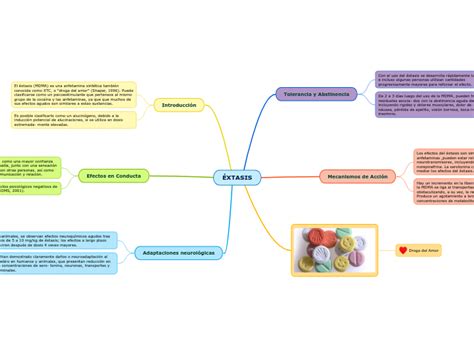 Xtasis Mind Map