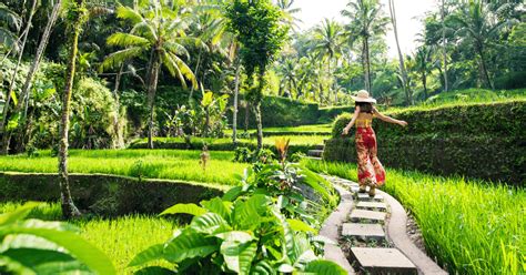 Bali Ubud Adventure Tarasy Ry Owe Ma Pi Las I Wodospady Getyourguide