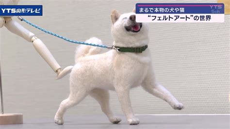 フェルトアート展 羊の毛を使った犬や猫の作品並ぶ - YouTube