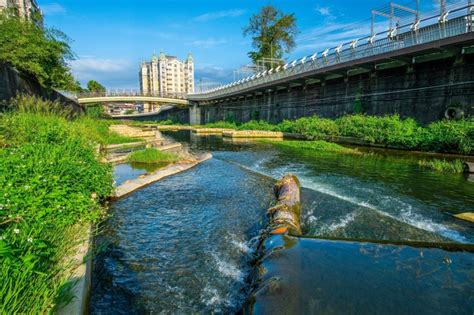 最美麗的生態教室！ 泰山大窠坑溪重現河川綠生活、物種數量多達61種 風傳媒