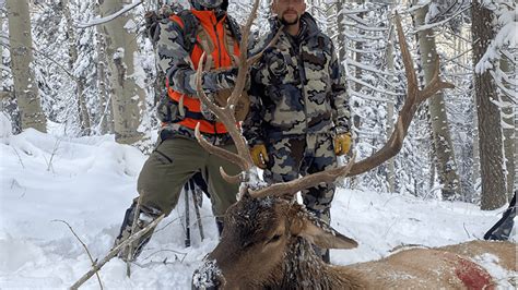 Colorado Elk Hunts High Mountain Hunts