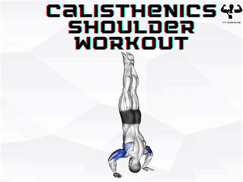 Calisthenics Shoulder Workout For Boulder Shoulders – FitDominium