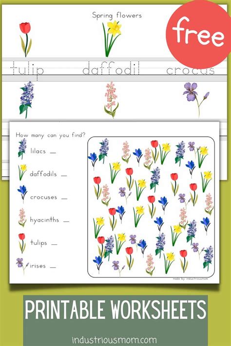 Free Spring Flowers Worksheets For Kindergarten In 2024 Spring Worksheet Kindergarten