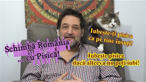 Iubeste Ti Pisica Ca Pe Tine Insuti Sit Down Comedy YouTube